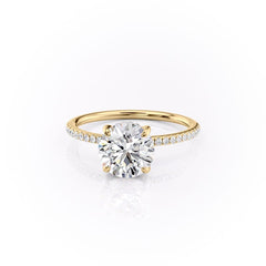 Aurora Circle 1 Carat VVS1 Lab-Grown Hidden Halo Pave Engagement Ring in 18K Yellow Gold Left View