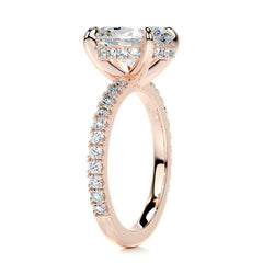 Lucy Moissanite & Diamonds Ring